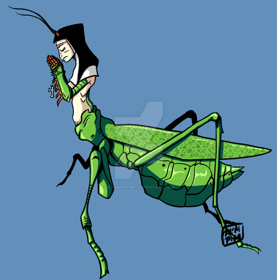 Praying Mantis by AlimusPrime on DeviantArt