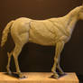 Horse Ecorche - Day 13