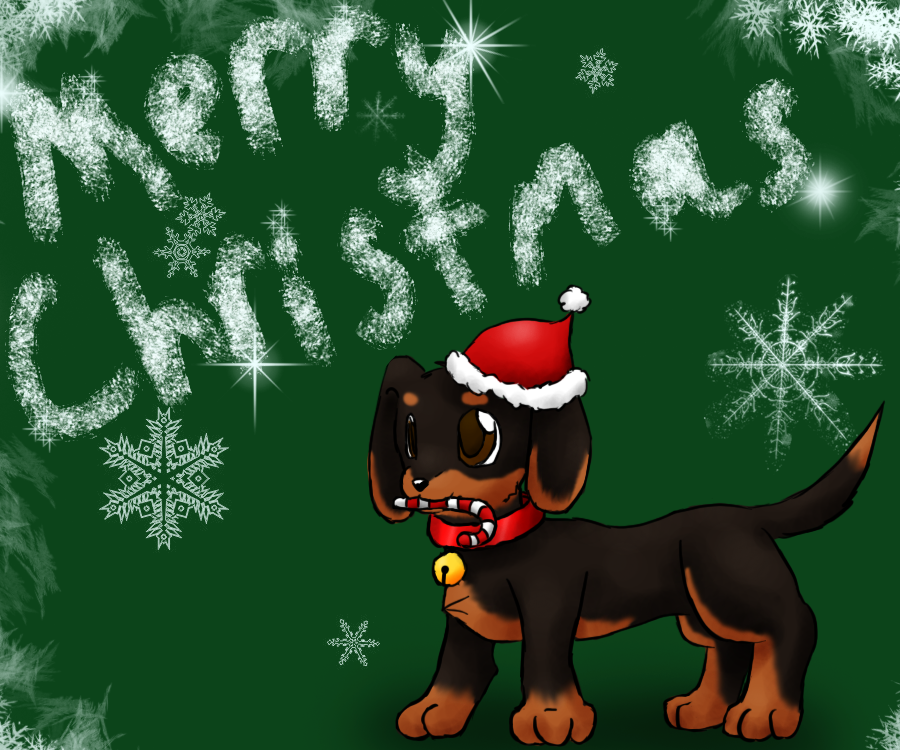 Dachsund Christmas Card