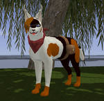 New Feline Player Model by Rika-of-Thunder