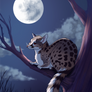 Genet