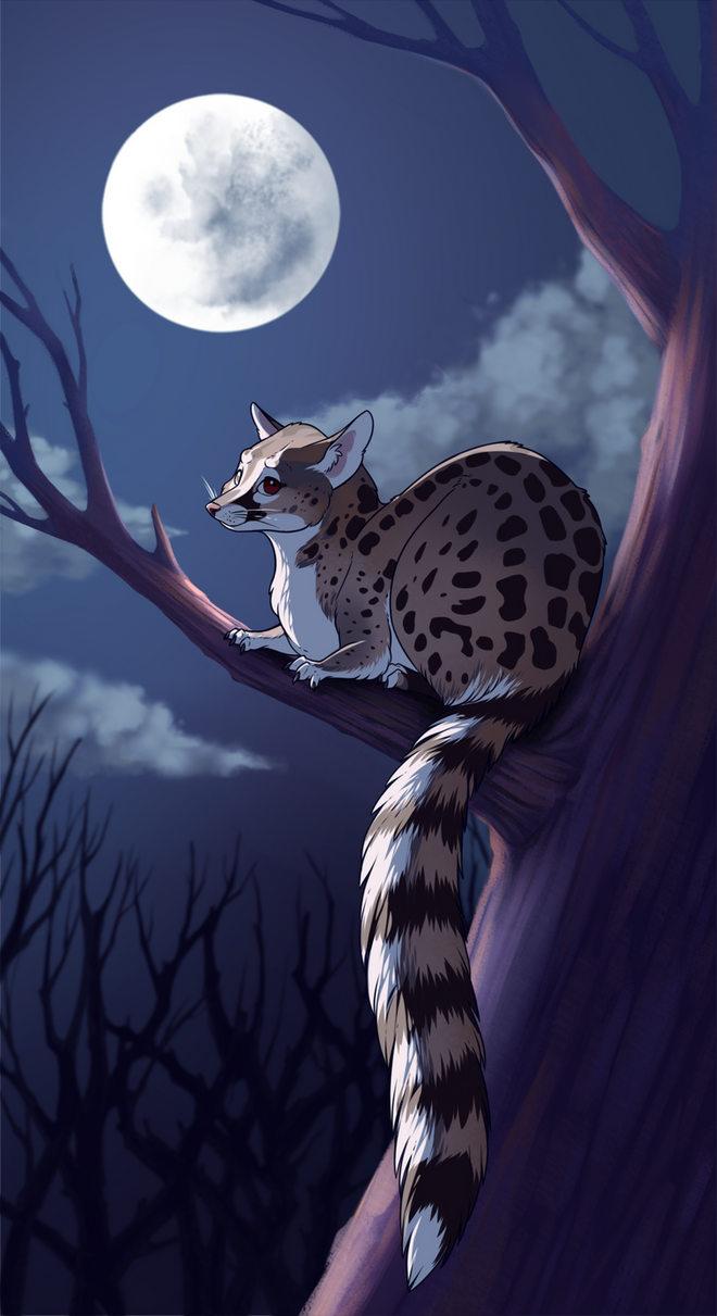 Genet by 28GoodDays on DeviantArt