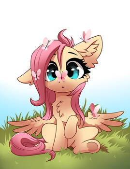 Fluttershy... again