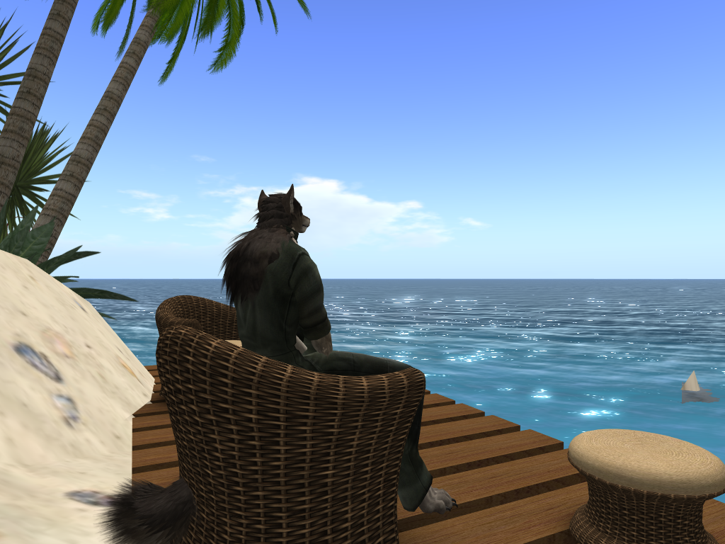 SL - Watching the Ocean