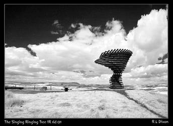 Singing Ringing Tree IR 01 DAsm