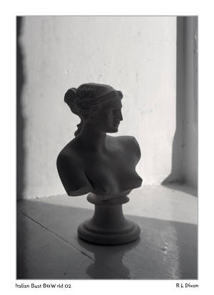 Bust rld 01 BW dasm by richardldixon Bust rld 01 BW dasm by richardldixon