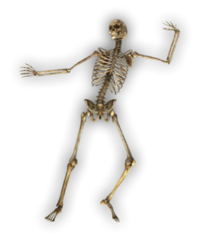 Skeleton-2-4e by mereditthhh on DeviantArt