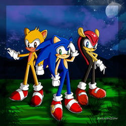 Sonic, Mighty, and Ray :3