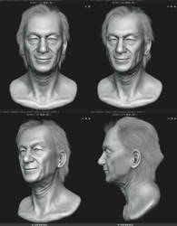 Head Sculpting -'Ian McKellen'