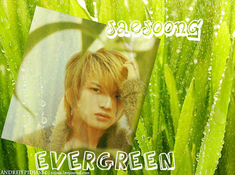 Evergreen Jae Joong