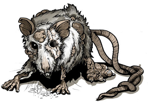 Mutant rat by TmoeGee on DeviantArt