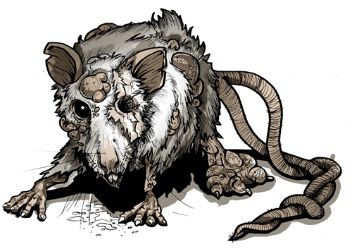 Mutant rat by TmoeGee on DeviantArt
