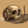Skull Snail