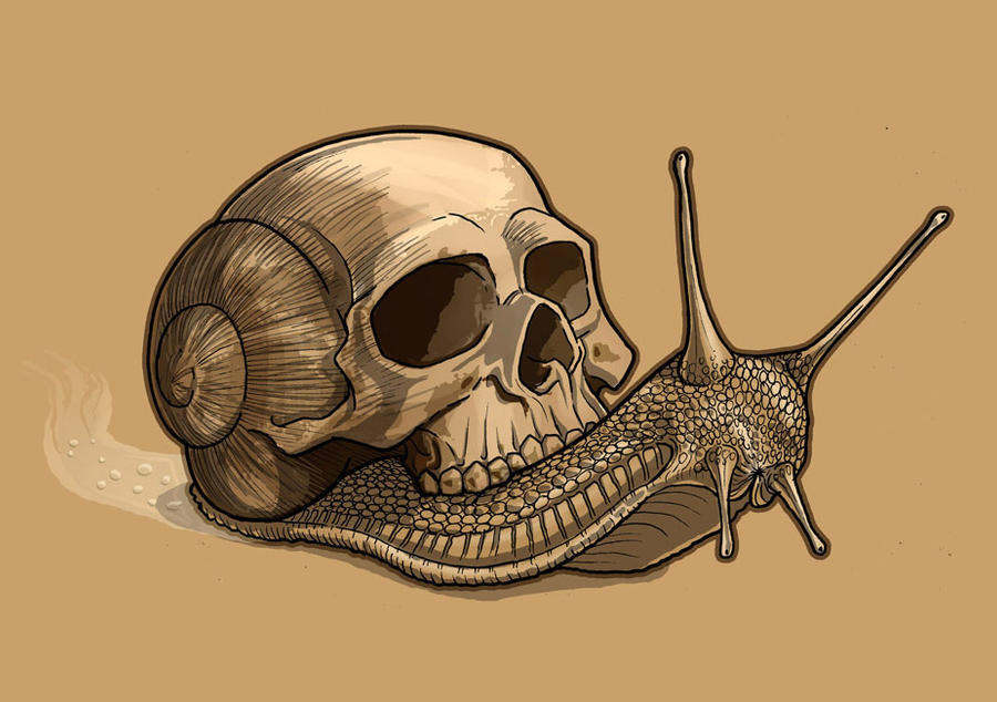 Skull Snail