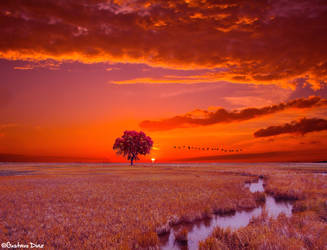 Sundown at the Delta Marsh by gustiidiaz