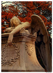 Weeping Angel