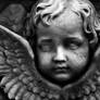 Cherub II