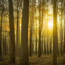Sunset Photography