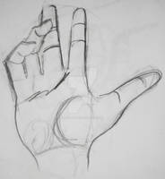 Hand Sketck