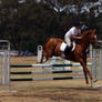 Henty Showjumping 34