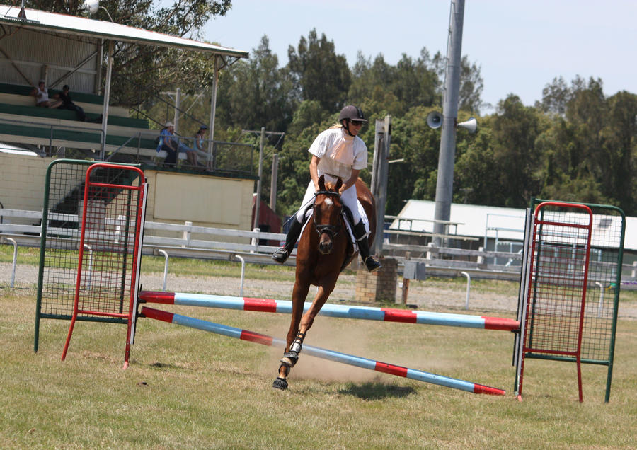 STOCK Showjumping 386