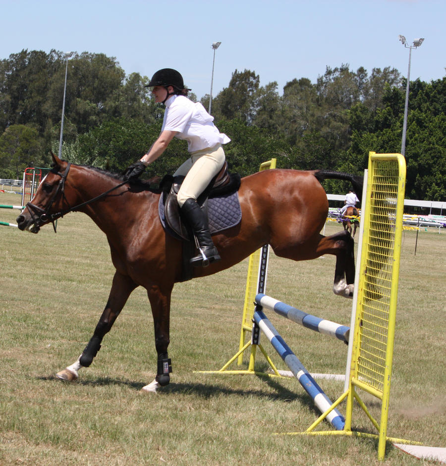 STOCK Showjumping 436