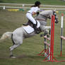 STOCK Showjumping 451