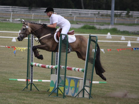 STOCK Showjumping 510