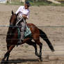 Stock - Horse Team Penning - 054