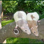 Apple Tree Rats