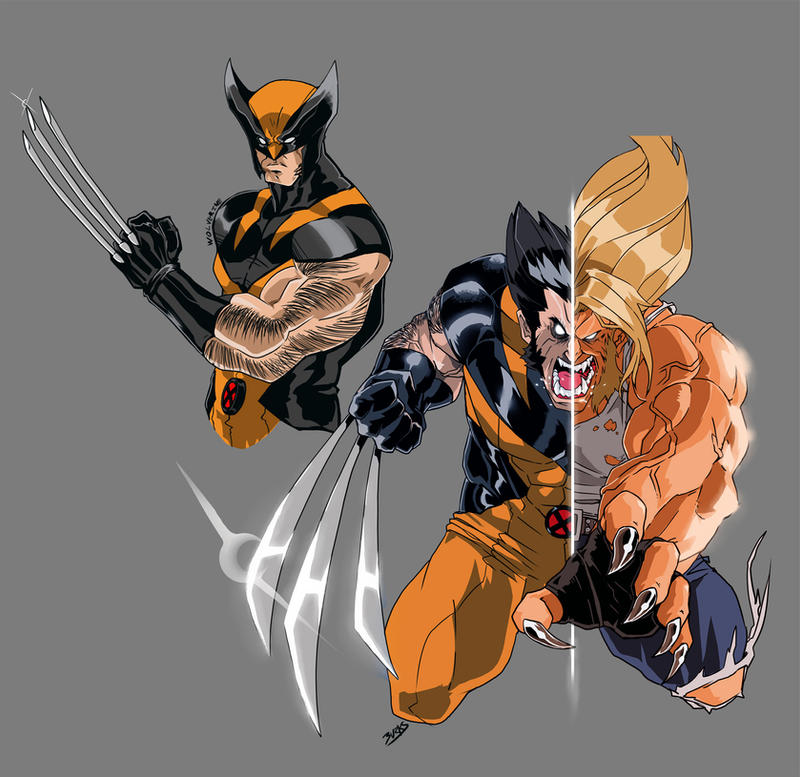 Wolverine by SkrubPhace on DeviantArt