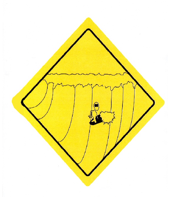 Caution: Aliens Surfing