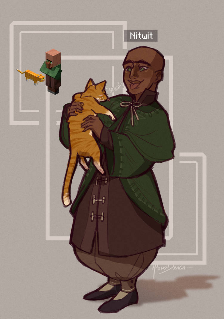 Nitwit by HiroDraga on DeviantArt