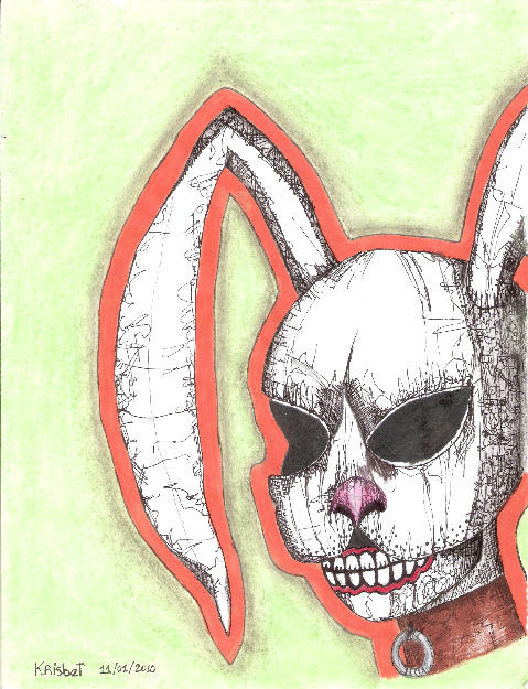 Ricasa Rabbit Rabia Rabbit by Elfavzla on DeviantArt