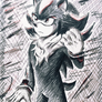 Shadow the Hedgehog