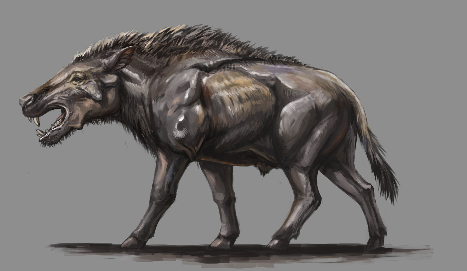 Daeodon shoshonensis by KookaburraSurvivor on DeviantArt