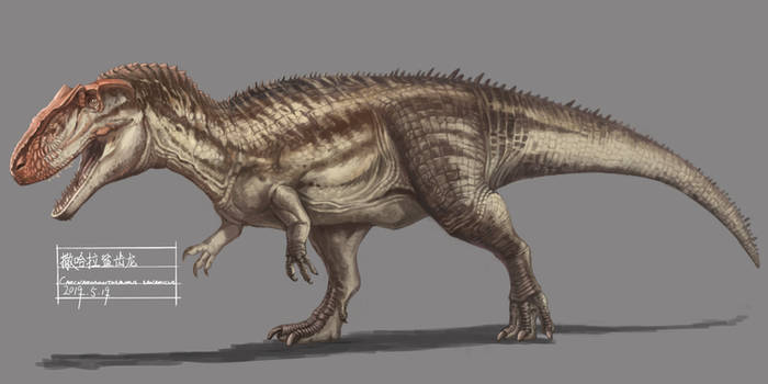 Explore the Best Carcharodontosaurus Art | DeviantArt