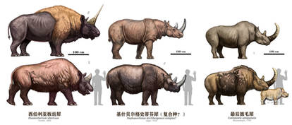 Ice age Euasian rhinoceros