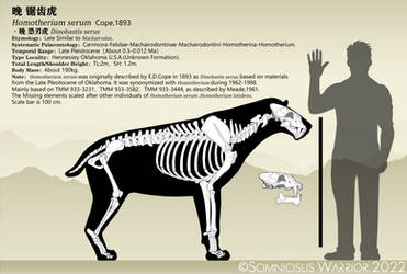 Homotherium serum skeletal reconstraction