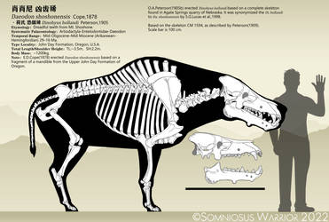 Daeodon shoshonensis skeletal reconstraction