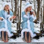 Barefoot Snow Maiden 1