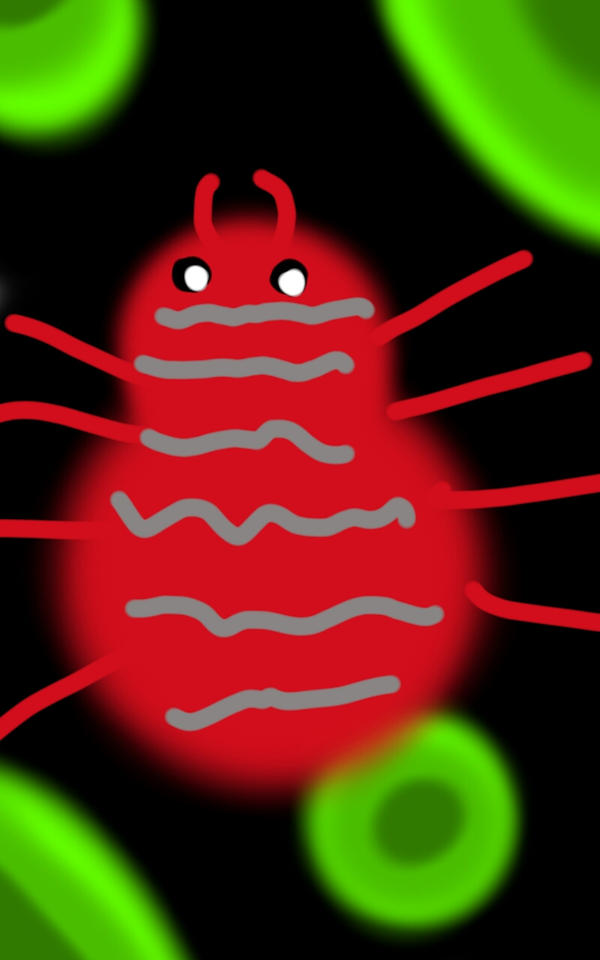 Spider Insect Deviantart SPIDER by AYC666 on DeviantArt