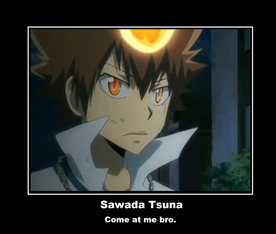 Sawada Tsuna. Come at me bro!