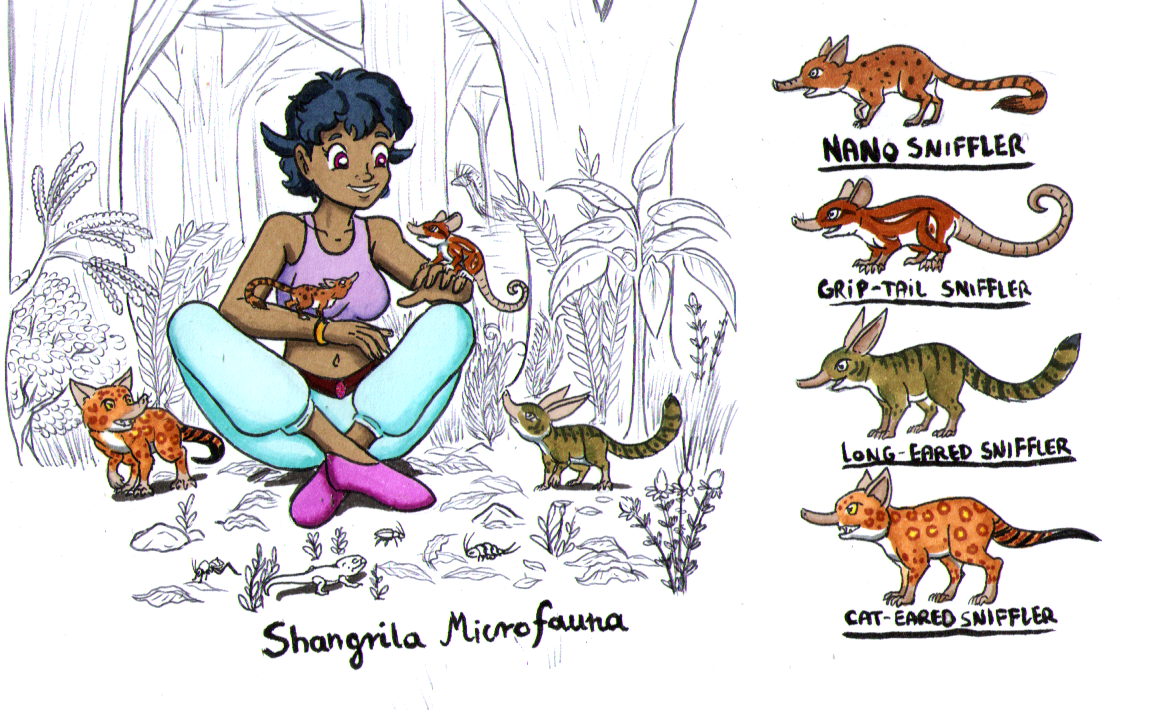 Microfauna Drawing Original Species: Microfauna of Shangrila by Lord-Lavrahtheen on DeviantArt