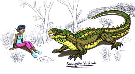 Original Species: Shangrila Vicebeak