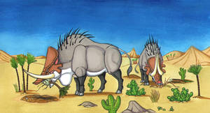 Desert Foragers