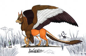Original Species: Ziz Gryphon (remake)