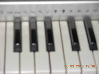 keyboard :::