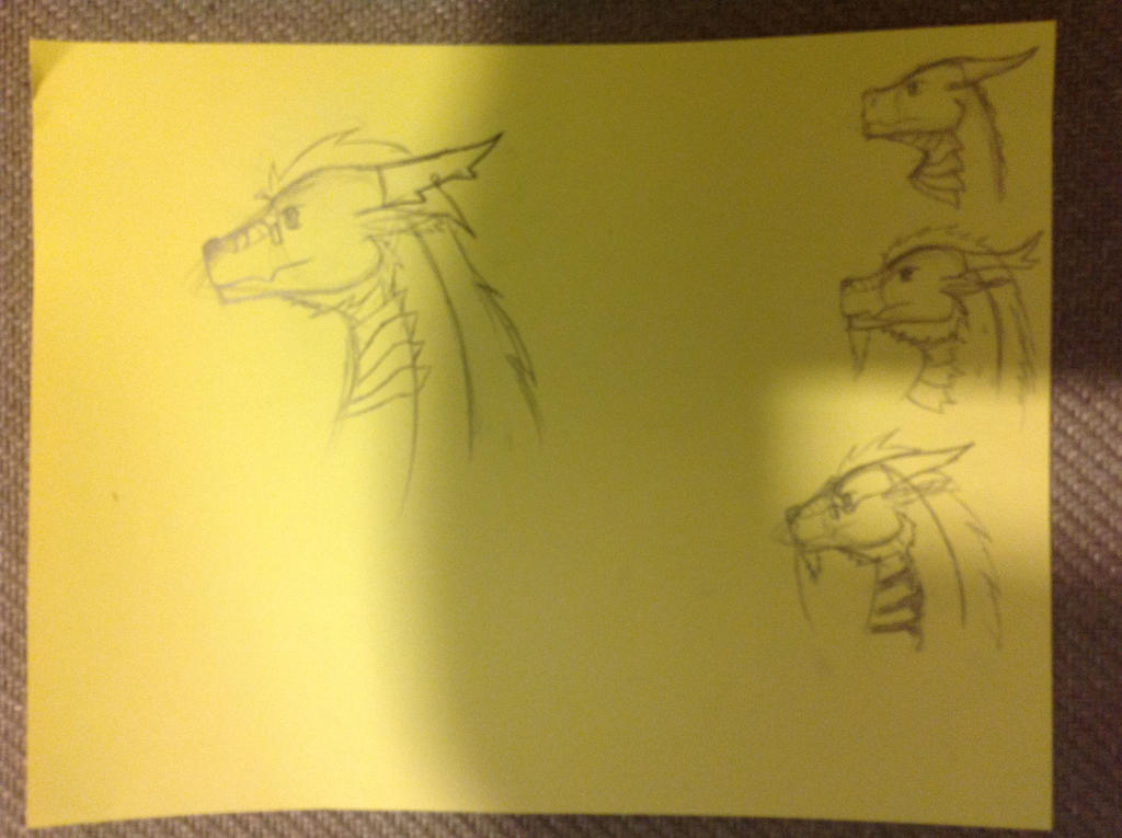 Dragons Side View by MEMCABO on DeviantArt