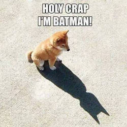 i'm batman!